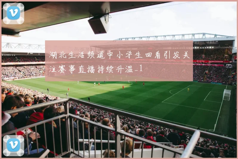 湖北生活频道中小学生回看引发关注赛事直播持续升温_1