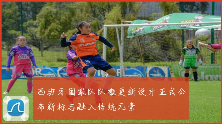 西班牙国家队队徽更新设计正式公布新标志融入传统元素