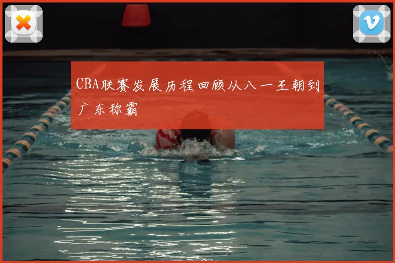 CBA联赛发展历程回顾从八一王朝到广东称霸