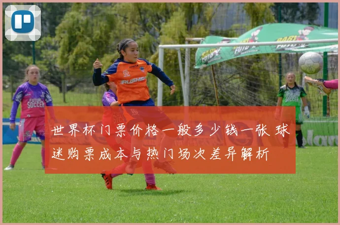 世界杯门票价格一般多少钱一张 球迷购票成本与热门场次差异解析